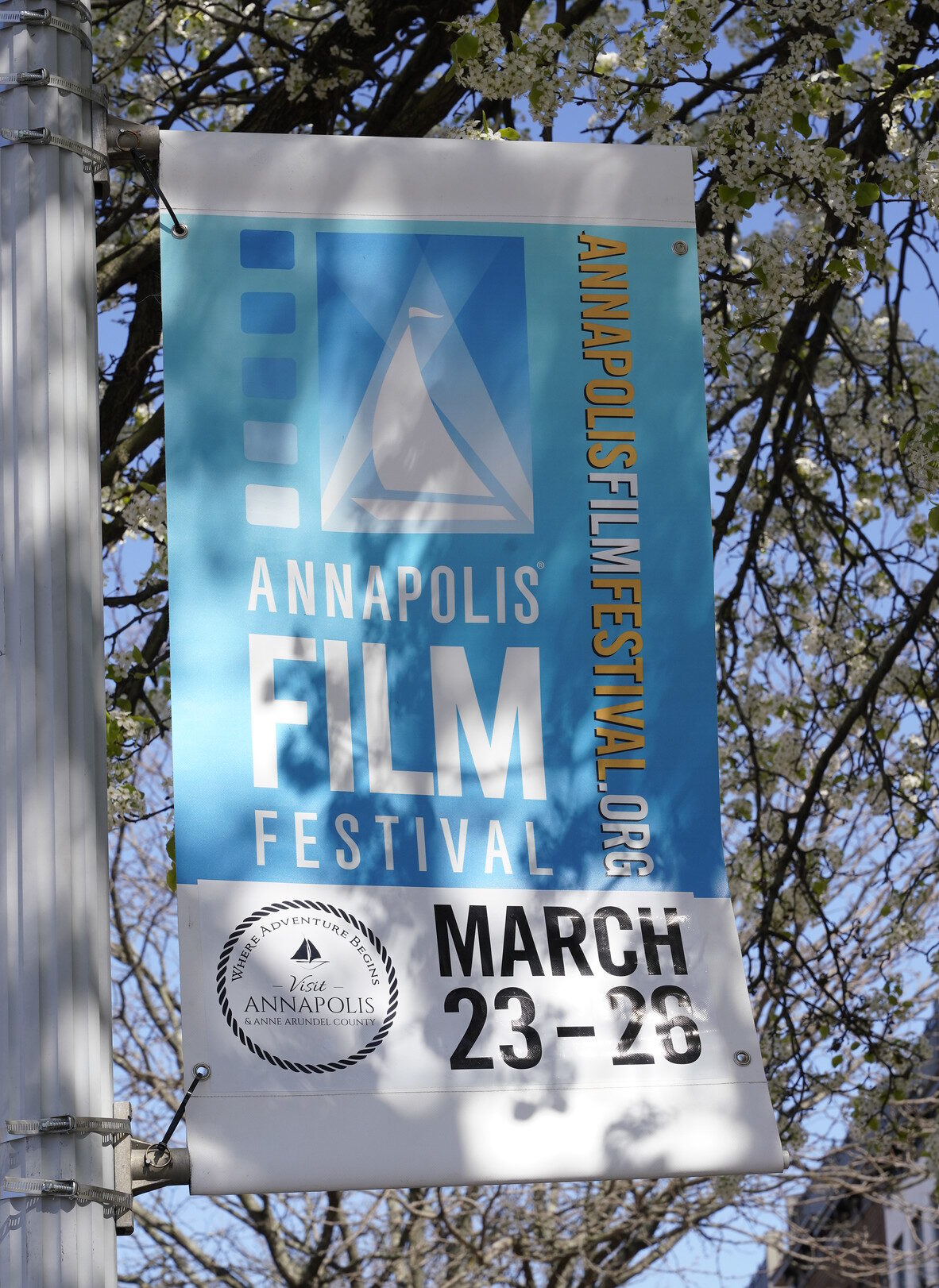 The 11th Annapolis Film Festival Honored Diverse Films The Knockturnal