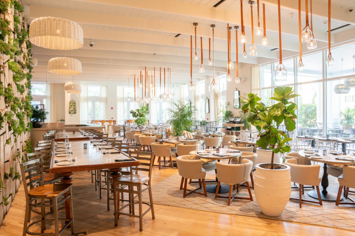 _DSC9846-Enhanced-NR_resized